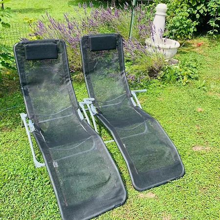 Apartma Ribez *